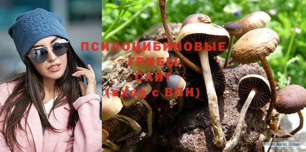 сатива Балахна