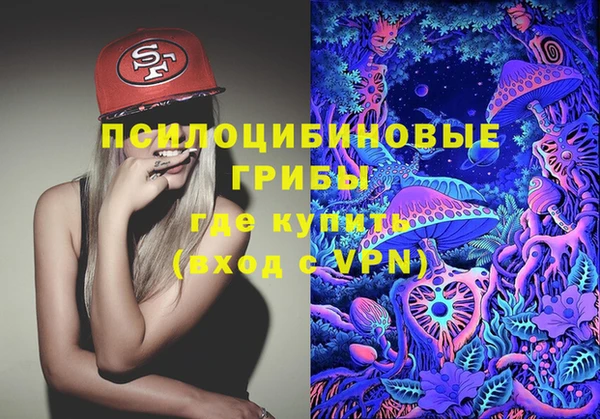 сатива Балахна