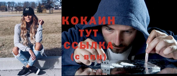 сатива Балахна
