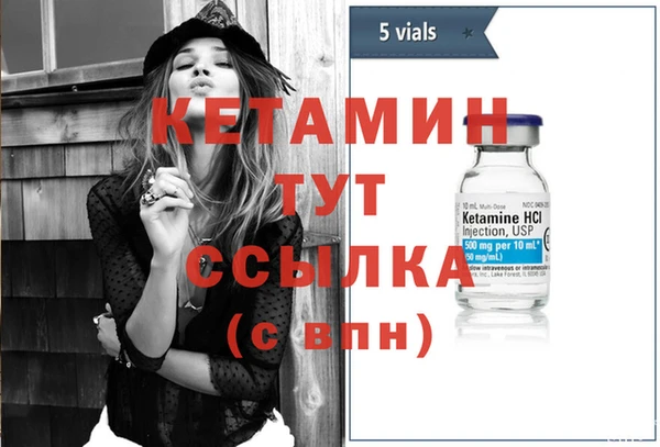 сатива Балахна