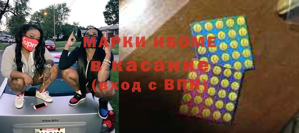 сатива Балахна