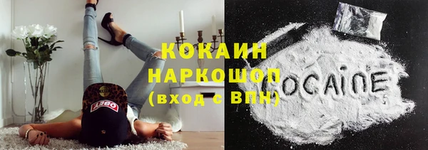 сатива Балахна